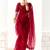 Embroidered dark red tissue organza classic saree