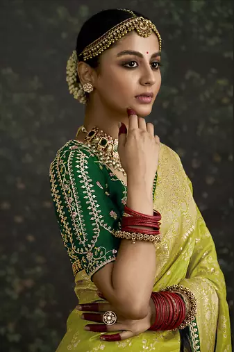 Sequins embroidered border work dola silk blend pear saree