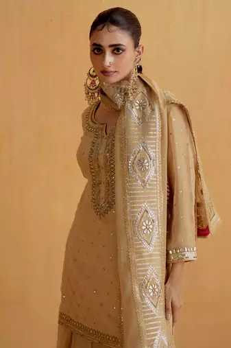 Beige Georgette Gota Dori Embroidered Lehenga