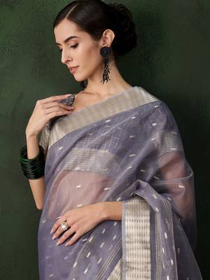 grey Khadi Organza Jacquard Saree  2