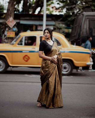 Aakar Swarnika | Gold Handloom Tissue Saree 2
