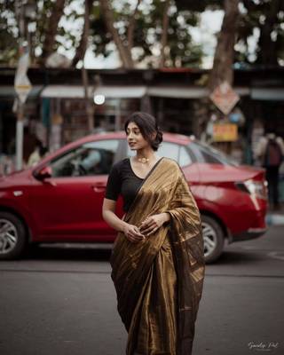 Aakar Swarnika | Gold Handloom Tissue Saree 4
