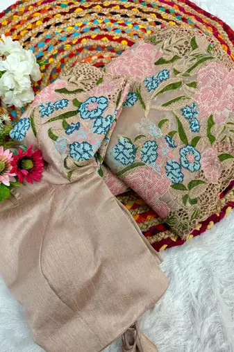Beige Jimmy Choo Organza Saree