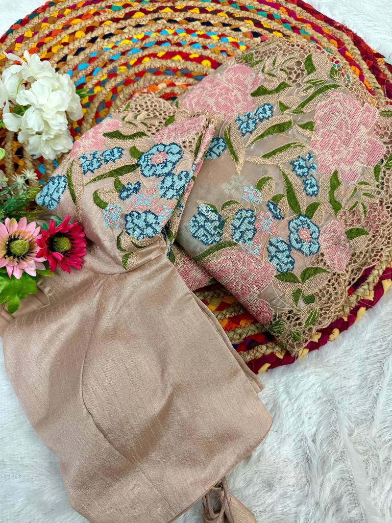 Beige Jimmy Choo Organza Saree