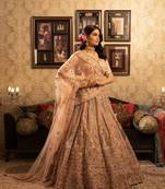 Pink Heavy Handwork lehenga with peacock Design