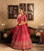 Rani colured bridal Lehenga choli