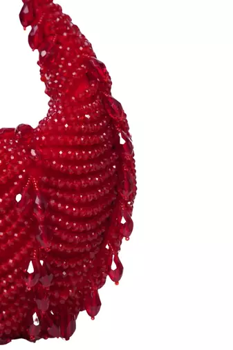 Liona red suede embellished hobo bag