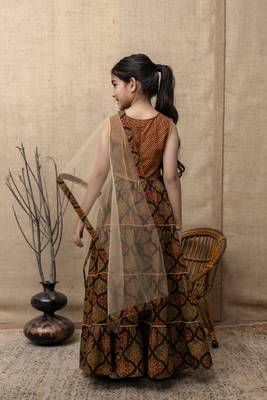 Brown printed lehenga choli with dupatta for girls 2