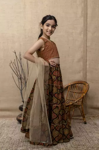 Brown printed lehenga choli with dupatta for girls