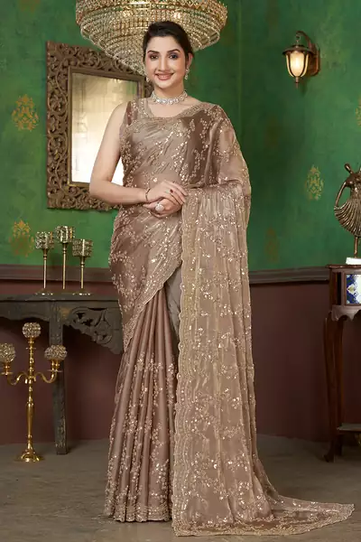 Light Brown organza sequin embroidered saree