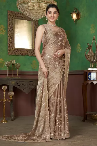 Light Brown organza sequin embroidered saree