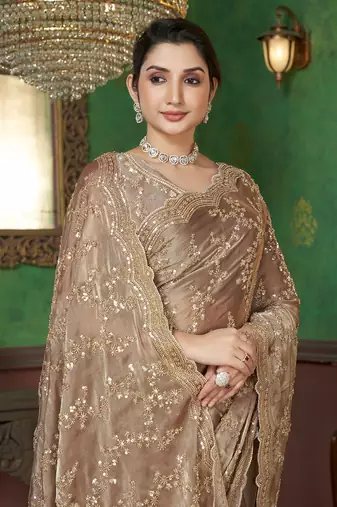 Light Brown organza sequin embroidered saree