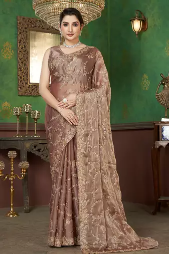 Lihght Brown sequin embroidered georgette saree