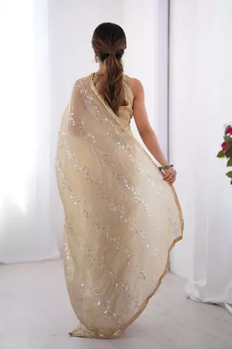 Beige gold crush sequins and mofis work saree