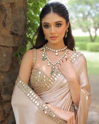 Chiku Satin Embroidered Mirror Work Saree 2