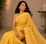Yellow Hand Painted Khadi Handloom Saree With Blouse