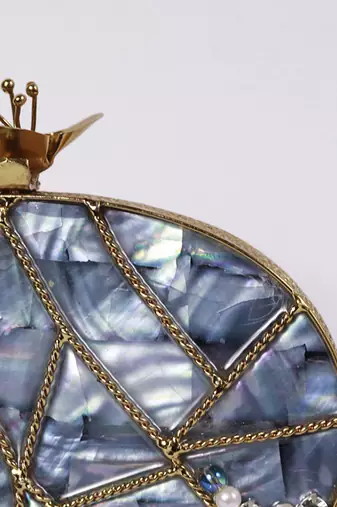Mother of pearl gold embellished clutch