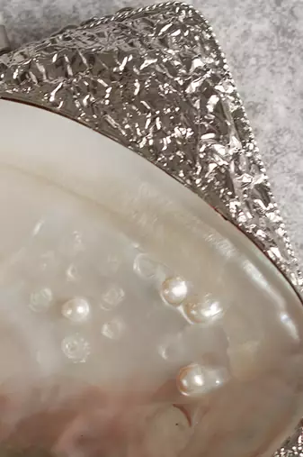 Silver clutch handcrafted with intricate detailing
