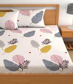 multicolor glace cotton fiited bedsheet