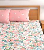 multicolor glace cotton fiited bedsheet