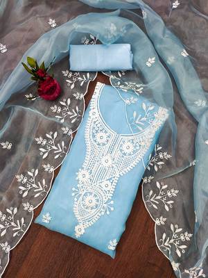 Blue powder organza suit set with intricate white thread embroidery 1