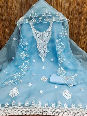 Blue powder organza suit set with intricate white thread embroidery 2