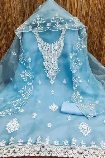 Blue powder organza suit set with intricate white thread embroidery
