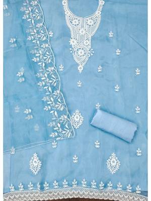 Blue powder organza suit set with intricate white thread embroidery 3