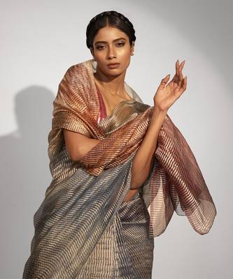 Grey tissue stripes printed saree 3