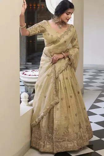 Beige Silk Thread sequin Embroidery Work Lehenga Choli   