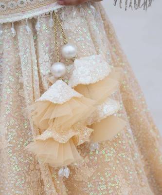 Beige georgette embroidered lehenga for girls 3