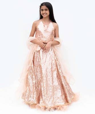 Peach net embroidered lehenga for girls 1