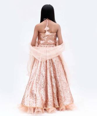 Peach net embroidered lehenga for girls 2