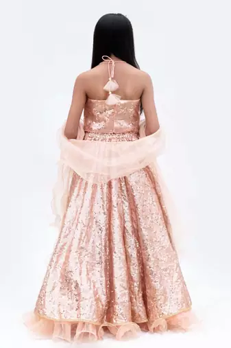 Peach net embroidered lehenga for girls