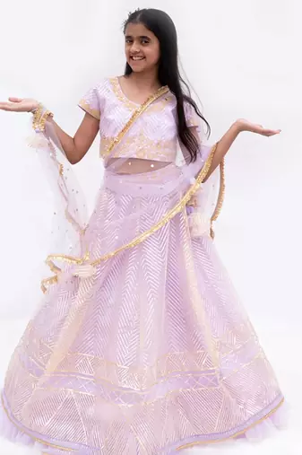 Purple net embroidered lehenga for girls