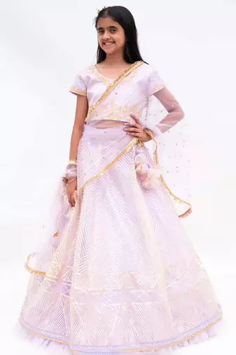Purple net embroidered lehenga for girls