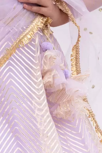 Purple net embroidered lehenga for girls