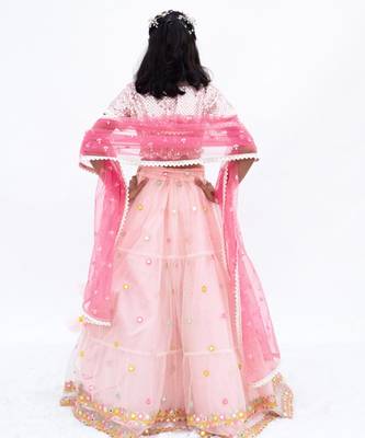 Pink net embroidered lehenga for girls 2