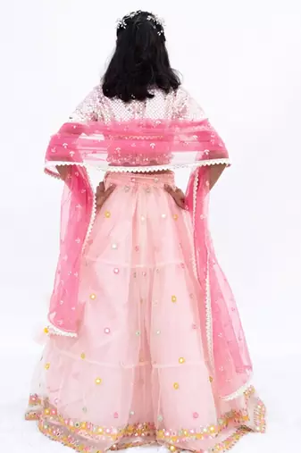 Pink net embroidered lehenga for girls