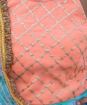 Blue organza printed lehenga for girls 4
