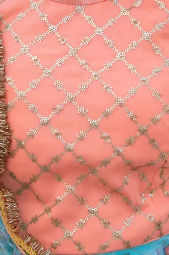 Blue organza printed lehenga for girls
