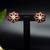 Radiant petal stud earrings