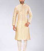 Fawn Dupion Art Silk Kurta