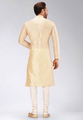 Fawn Dupion Art Silk Kurta 2