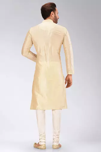Fawn Dupion Art Silk Kurta