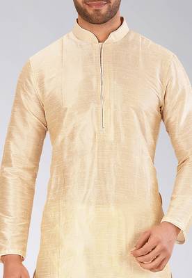 Fawn Dupion Art Silk Kurta 3