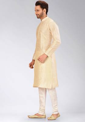 Fawn Dupion Art Silk Kurta 4