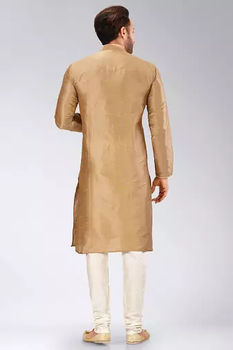 Beige Dupion Art Silk Kurta