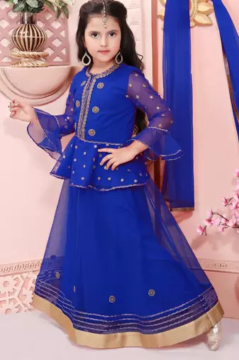 Blue embroidered net a line lehenga choli dupatta