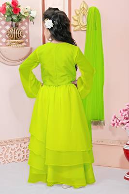 Lime green embroidered cotton silk a line lehenga choli dupatta 2